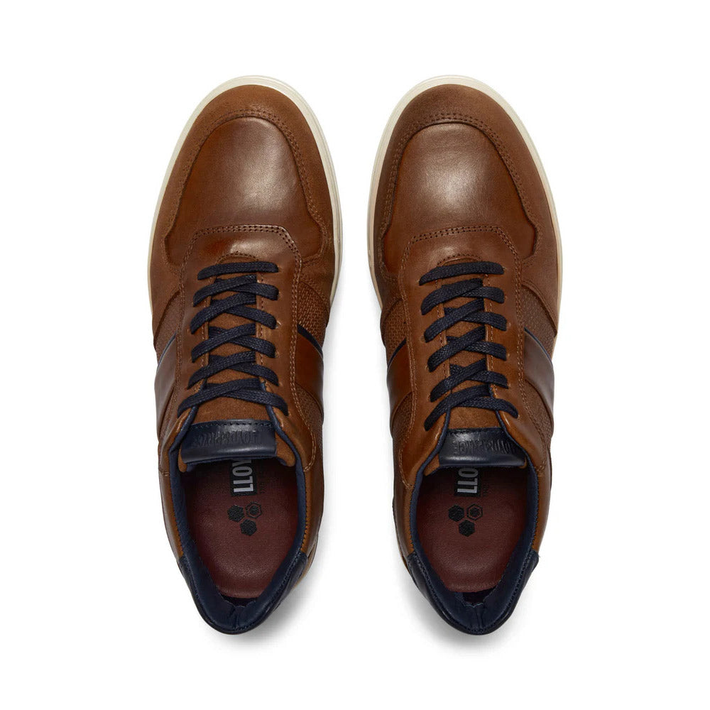 Lloyd & Price Tommy Bowe Trainers | Montoya Umber