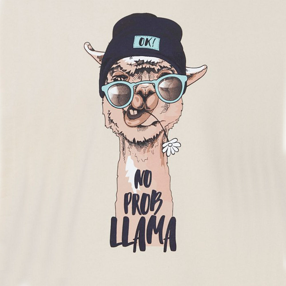 Blend Sweatshirt - No Prob Llama