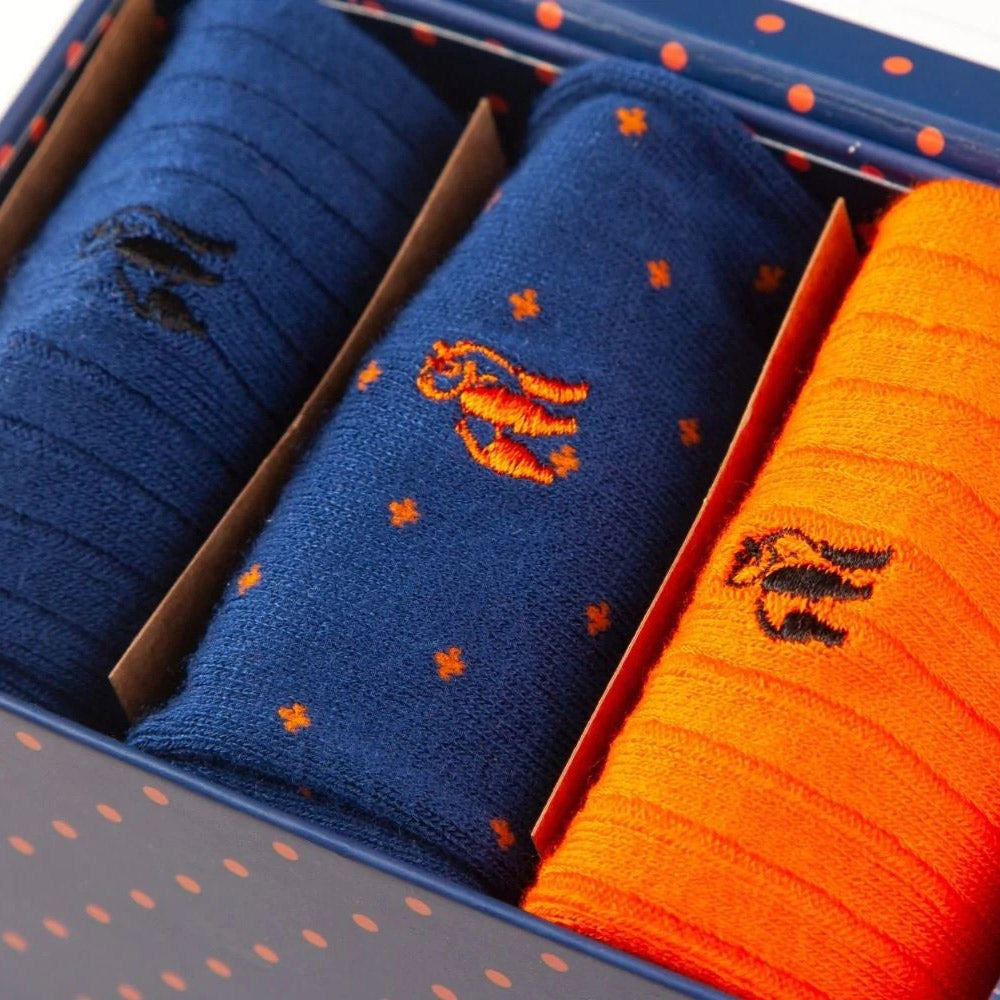 Swole Panda Gift Box - Orange & Blue